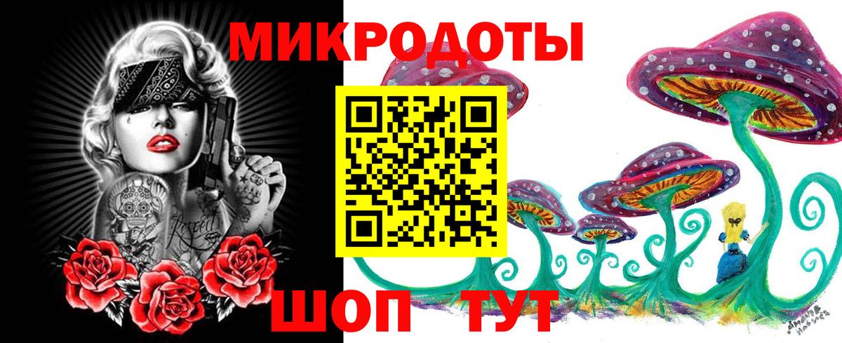 Галлюциногенные грибы Psilocybe  Галлюциногенные грибы прущие грибы  Вход с VPN  Горячий Ключ 